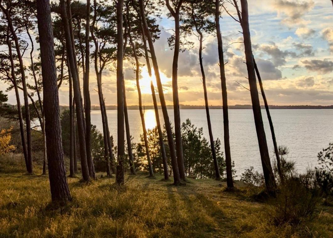 Tallskog - Dein Apartment Am Naturstrand Hohen Wieschendorf Hohenkirchen  Εξωτερικό φωτογραφία